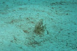 20010620_Mangrove_Bay_0005